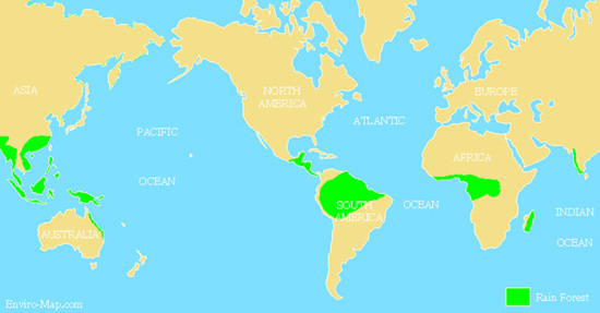 World's Tropical Rainforest Map